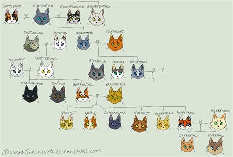 Warrior Cats Family Tree | Discover the Warrior Cats Family Tree