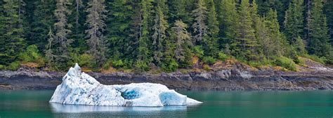 Cruise to Endicott Arm Fjord - Carnival Cruise Line