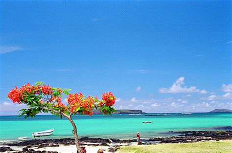 mauritius-lagoon-via-flickr-subzi73-PRECLEARED | michael | Flickr