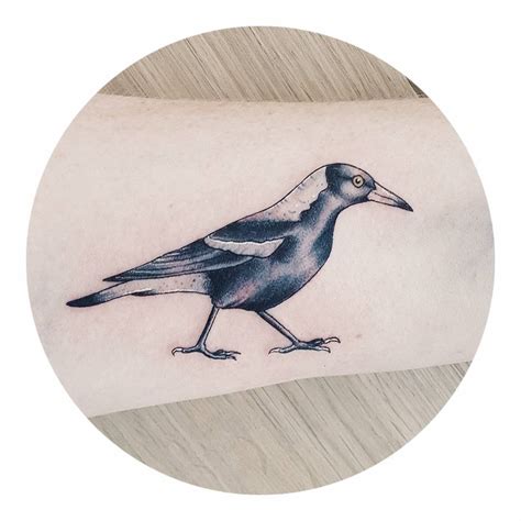 Australian Magpie tattoo - Tattoogrid.net