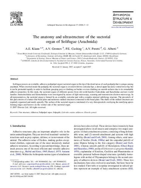 (PDF) The anatomy and ultrastructure of the suctorial organ of ...