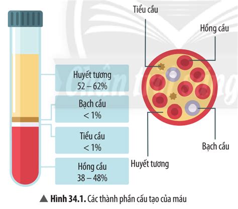 Bạn hiểu được gì qua kết quả xét nghiệm máu? - VietBF