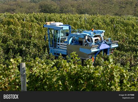 Vineyard Machine Image & Photo (Free Trial) | Bigstock