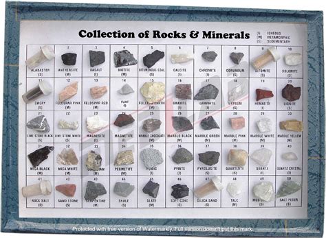 Collection of 20 Rocks – Medilab Exports Consortium