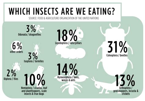 How To Eat Bugs