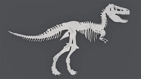 Dinosaur Skeleton - Printable 3D Print Models in Biology 3DExport