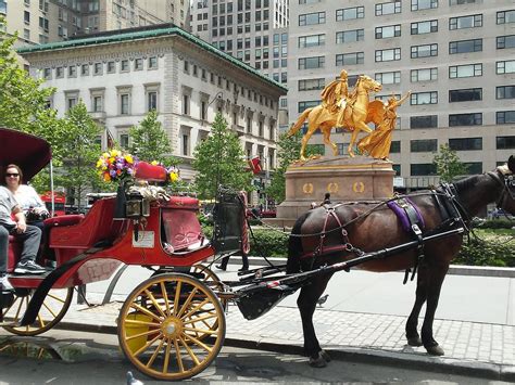 CENTRAL PARK CARRIAGES (New York City) - All You Need to Know BEFORE You Go