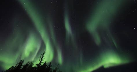 Yellowknife Northern Lights Tours