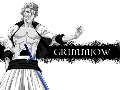 Grimmjow, Espada, Numer 6