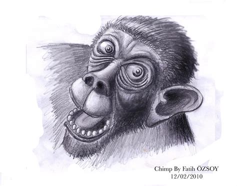 Chimp Drawing By Fatih Ozsoy by Tattooforever on DeviantArt