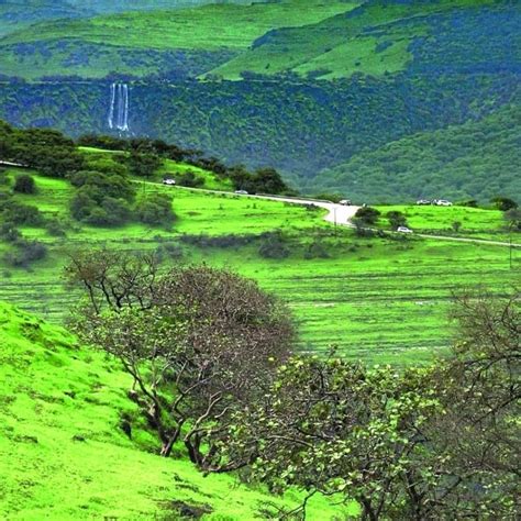 Khareef Salalah named best Arab tourist destination for 2022 - Oman ...