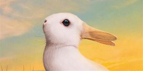 duck/rabbit illusion | Illusions, Optical illusions, Rabbit