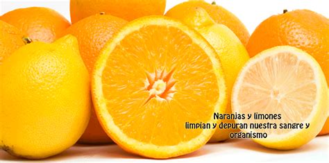 Naranjas y limones limpian y depuran nuestra sangre y organismo - Salud y belleza