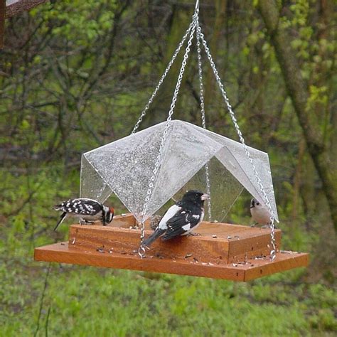 DIY Platform Bird Feeder | Birdcage Design Ideas