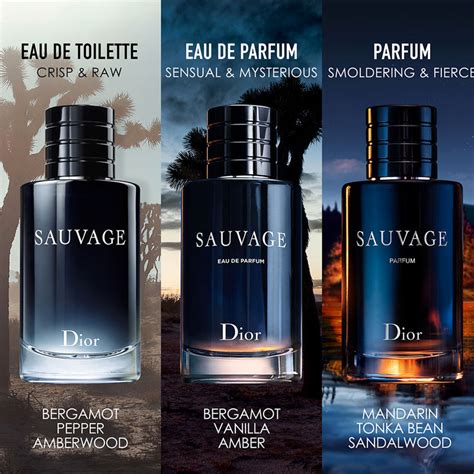 Sauvage 3.4 oz EDT for men – LaBellePerfumes