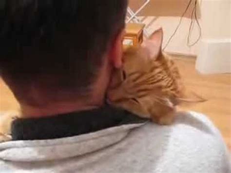 Cat hugs owner - YouTube