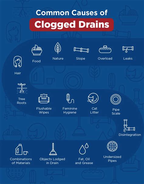 Common Causes Of Clogged Drains & How To Fix Drain Clogs