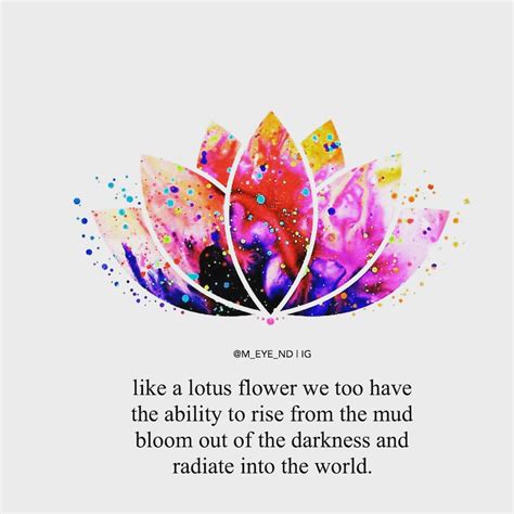 Lotus Flower Meaning In Hinduism - Beautiful Insanity