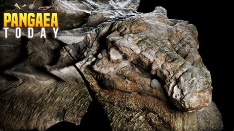 Incredible Mummified Dinosaur Found - Borealopelta - YouTube