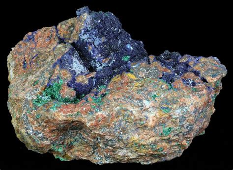 10.3" Large Malachite with Azurite Specimen (25 Lbs) - Morocco (#60722) For Sale - FossilEra.com