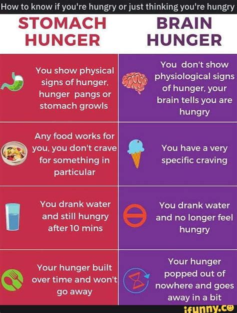 How to know if you're hungry STOMACH HUNGER You show physical signs of hunger, hunger pangs or ...