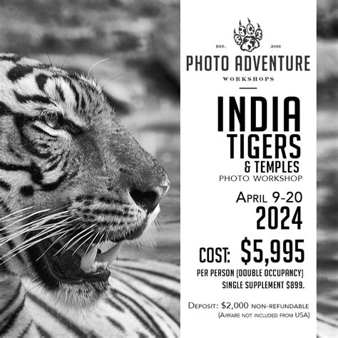 INDIA Tigers & Temples Photography SCHEDULE 2024