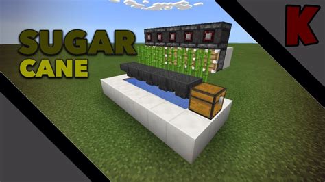 ️Minecraft PE | Automatic Sugar Cane Farm - Redstone Tutorial - YouTube