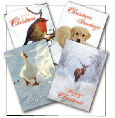 Animal Charity Christmas Cards - St Martin Apostolate