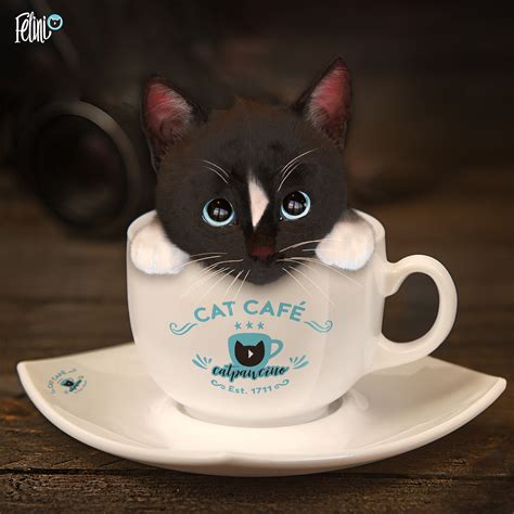 Catpawcino, Coffee Cat! Cute & Humerus Coffee Cup Kitten