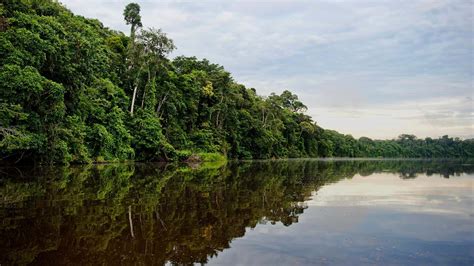 Madre de Dios - Perú, donde la biodiversidad se siente