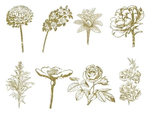 20 PNG Gold Glitter Flowers Clip Art Design Elements - Etsy | Flower ...