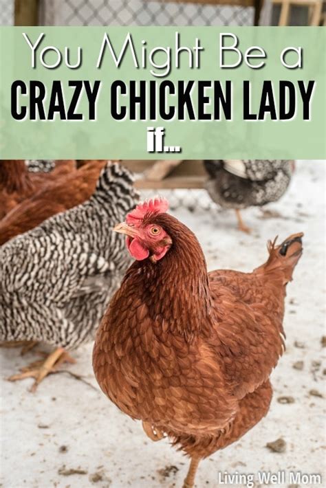 20+ Reasons You Might Be a Crazy Chicken Lady - Living Well Mom