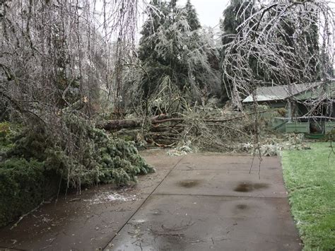 Storm Damage > Ice Storm - Eugene OR - Dec 14-15, 2016