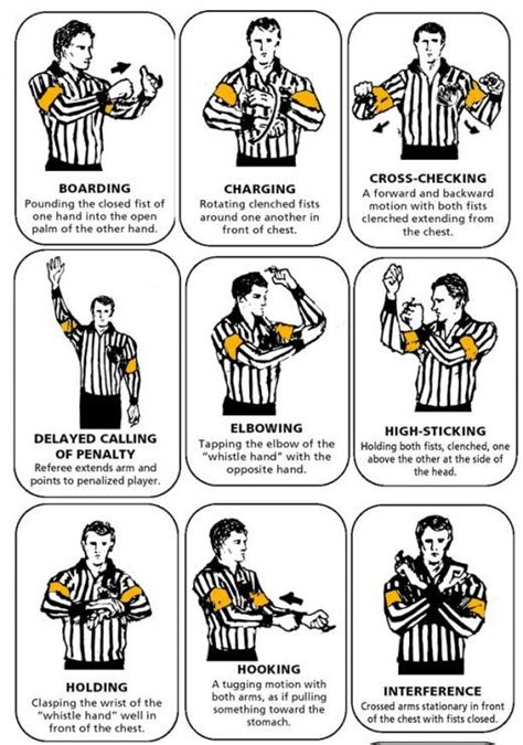 Basic Rules of NHL Hockey: A Visual Guide | Nhl hockey, Hockey rules, Hockey games