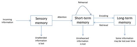 Role of Memory Formation (with Emphasis on Hippocampal Memory Formation ...