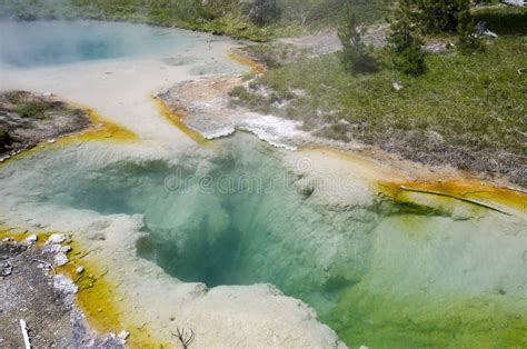 Geyser Basin in Yellowstone Stock Image - Image of park, mineral: 25658539