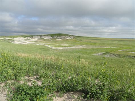 The Grasslands – The Most American Landscape | The Great Plains Trail