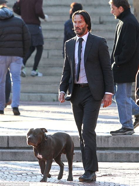 Keanu Reeves is scraped up in suit as he goes walks pit bull on the set of John Wick 2 | Daily ...