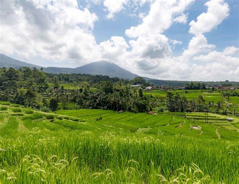 Jatiluwih Rice Terrace: how to visit this stunning UNESCO site — Walk My World