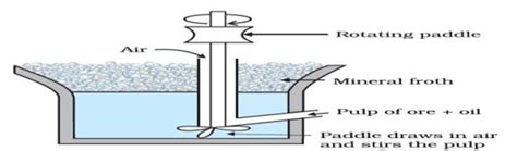 Froth Flotation process | Download Scientific Diagram