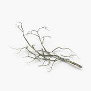 Fallen Tree Branches 02 3D Model $29 - .max .ma .obj .gltf .fbx .c4d ...