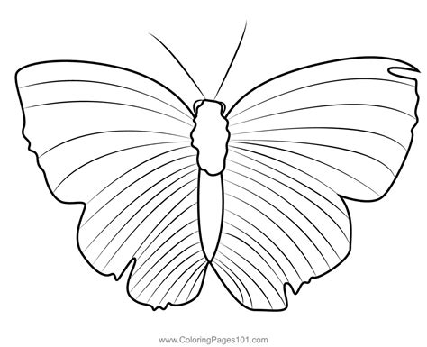 Butterly On Leaf Coloring Page for Kids - Free Butterflies Printable ...