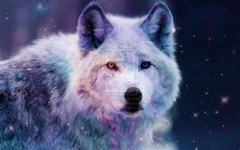 Cute Galaxy Wolf Wallpapers on WallpaperDog