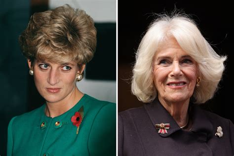 Princess Diana's 'Confrontation' With Queen Camilla Resurfaces - Newsweek