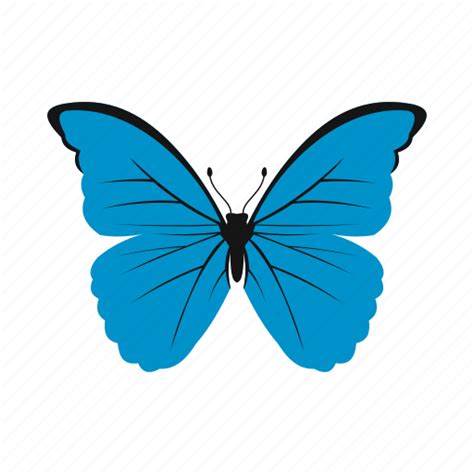 Butterfly, colorful, fly, insect, nature, spring, wing icon - Download ...