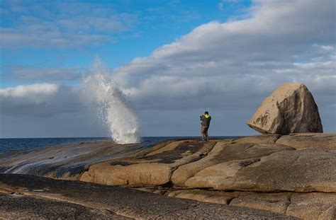 Bicheno Blowhole: UPDATED 2019 All You Need to Know Before You Go (with ...