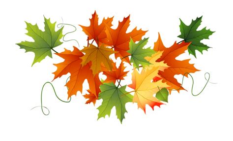 Pile Of Fall Leaves Clip Art