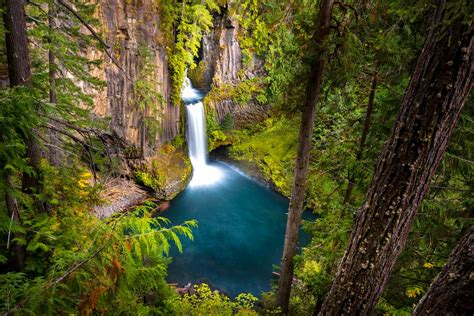 Umpqua National Forest