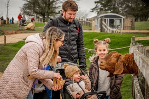 May Half Term at Cotswold Farm Park, Cotswold Farm Park, Guiting Power ...