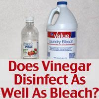 Does Vinegar Disinfect As Well As Bleach? | Disinfect, Bleach, Vinegar ...